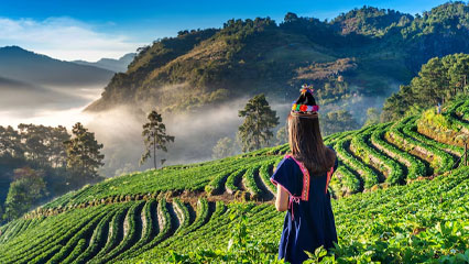 Green hill landscape during sunrise in Chiang Dao countryside, Chiang Mai, Thailand
